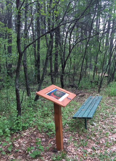 whistler mounds