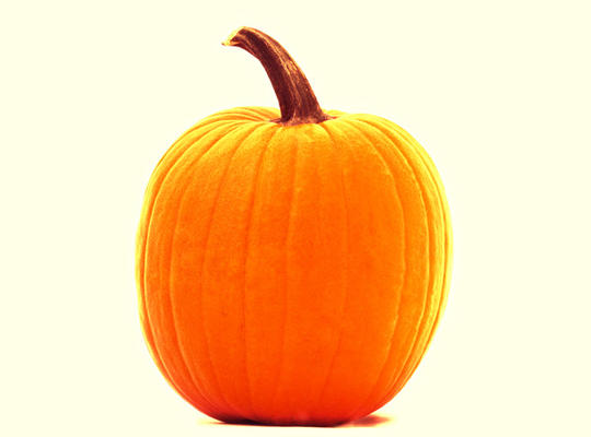 pumpkin