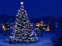 Outside Holiday Display