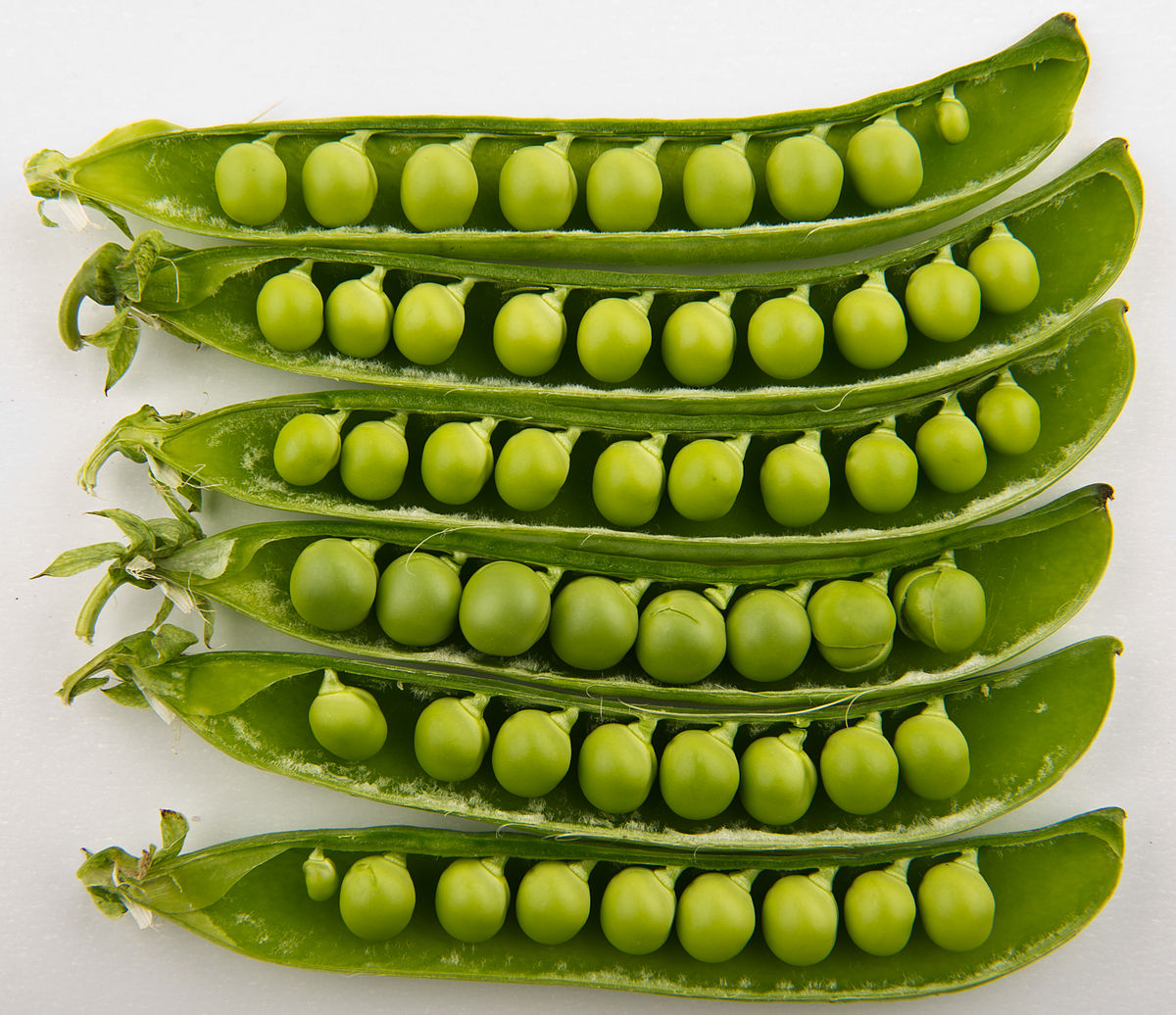 peas in shell