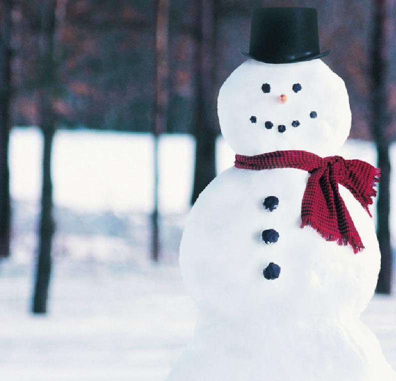 snowman. winter scene. 